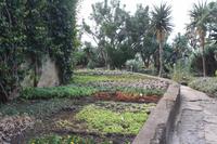 Botanischer Garten_50