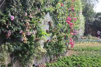 Botanischer Garten_51