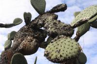 Botanischer Garten_52