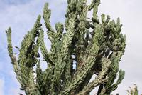 Botanischer Garten_55