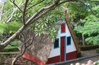 Botanischer Garten_59