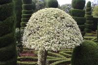 Botanischer Garten_63