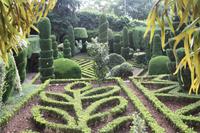 Botanischer Garten_64