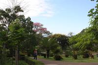 Botanischer Garten_65