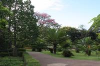 Botanischer Garten_66