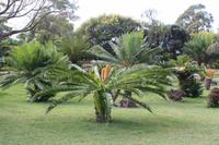 Botanischer Garten_67