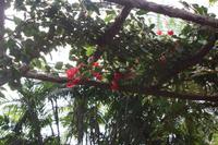 Botanischer Garten_68