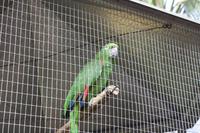 Botanischer Garten_69