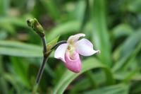 Botanischer Garten_9