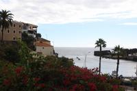 Camara de Lobos_14