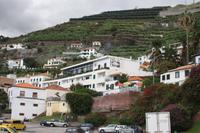 Camara de Lobos_5