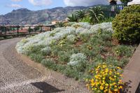 Funchal_11