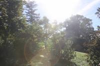 Garten der Familie Blandy_10