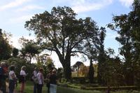 Garten der Familie Blandy_17