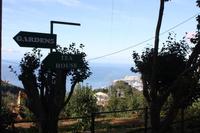 Garten der Familie Blandy_2