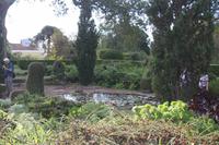 Garten der Familie Blandy_21