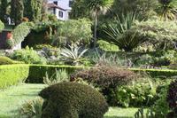 Garten der Familie Blandy_23