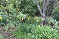 Garten der Familie Blandy_28