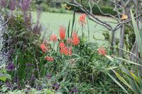 Garten der Familie Blandy_30