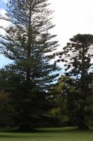 Garten der Familie Blandy_33