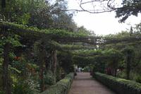 Garten der Familie Blandy_38