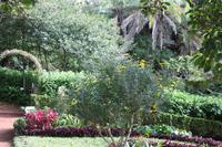 Garten der Familie Blandy_48