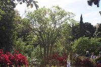 Garten der Familie Blandy_49