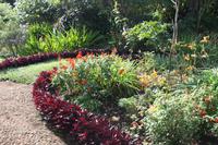 Garten der Familie Blandy_50