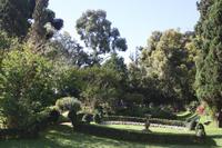 Garten der Familie Blandy_56