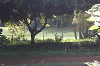 Garten der Familie Blandy_58