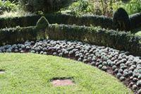 Garten der Familie Blandy_59