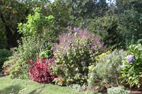 Garten der Familie Blandy_60