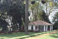 Garten der Familie Blandy_62