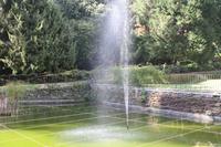 Garten der Familie Blandy_67