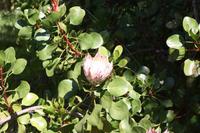 Garten der Familie Blandy_68