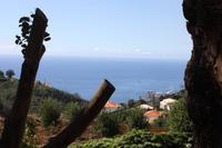 Garten der Familie Blandy_71