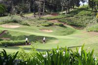 Golfplatz der Familie Plandy_2