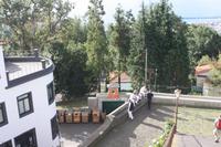 Monte Korbschlittenfahrer