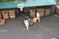 Monte Korbschlittenfahrer_4