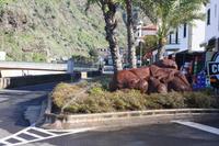 Ribeira Brava_6