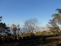 Blick auf Funchal vom Botanischen Garten aus
