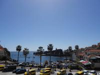 Camara do Lobo_Palmen und Meer