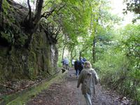 Levada-Wanderung Balcoes (1)