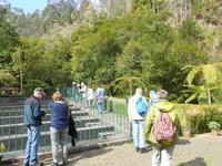 Ribeiro Frio_Forellenzucht (2)