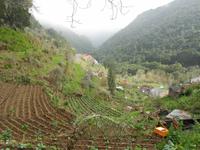Terrassenfelder bei Balcoes