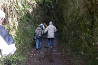 immer auf den Weg achten