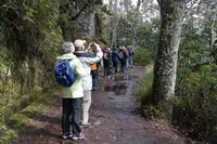 Levada-Wanderung zum 
