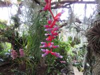 einfach herrlich anzuschauen