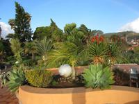 starker Wind vertreibt den Regen