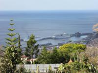 AIDA und TUI-Thomson im Hafen von Funchal
